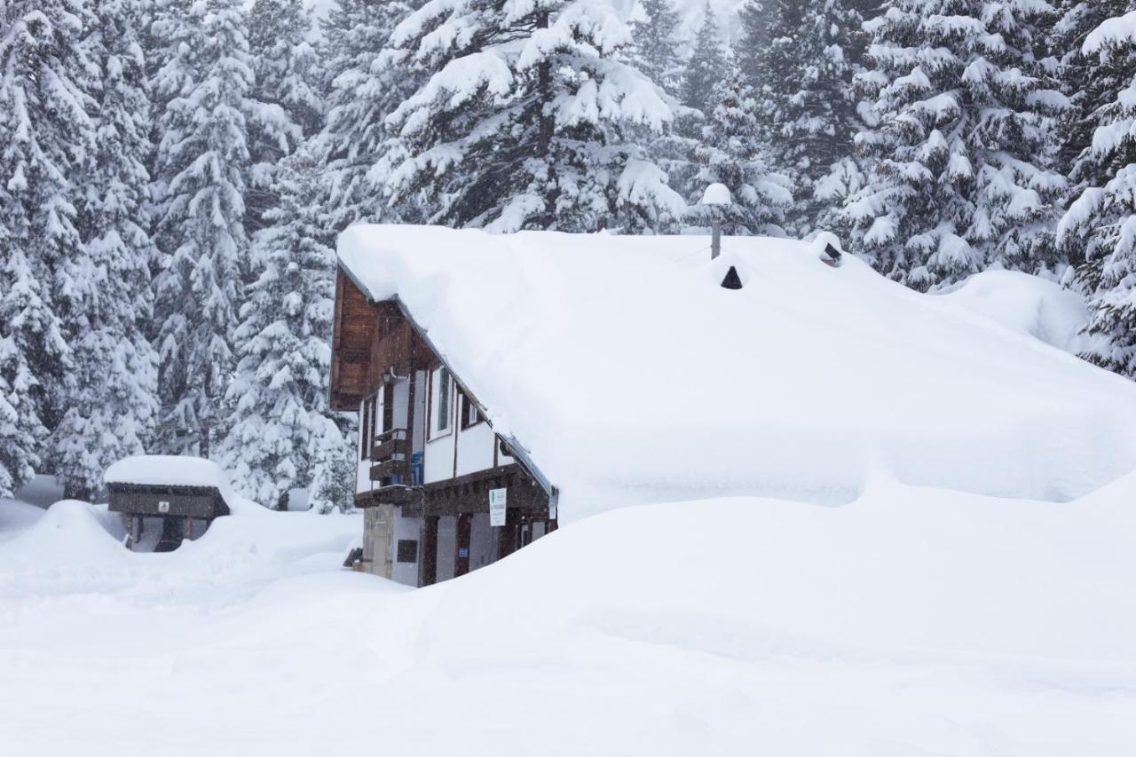 Хижа "Скакавица" Panichishte Exterior foto
