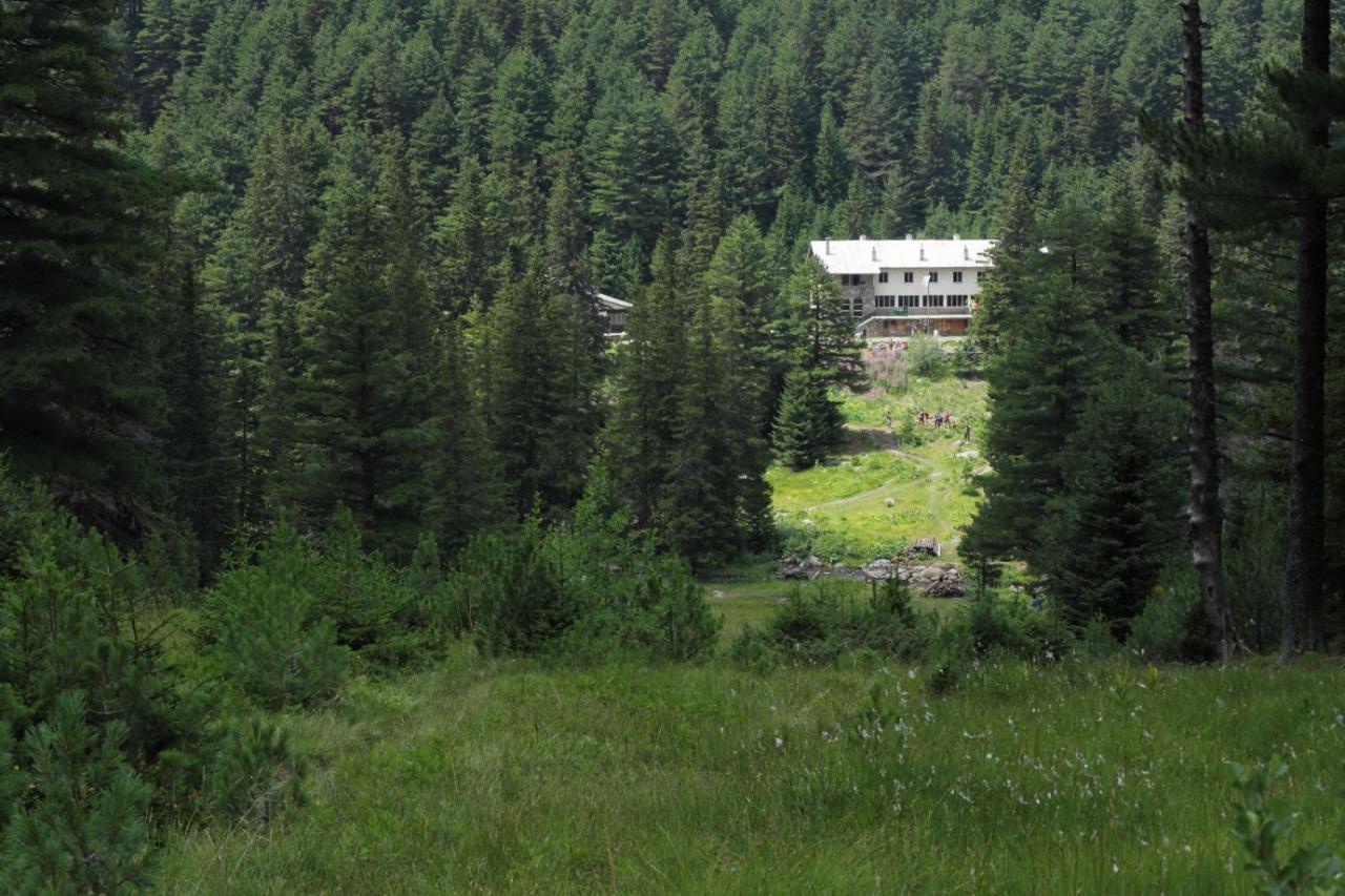 Хижа "Скакавица" Panichishte Exterior foto